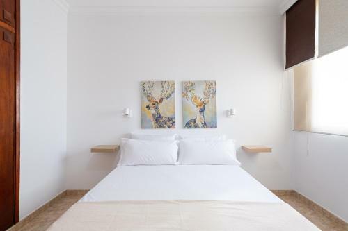 New* Apartment Next To Parque Santa Catalina
