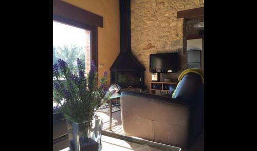 Les Planes D'hostoles Villa Sleeps 19 With Pool