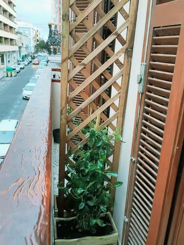 Hostal Alma Canaria Beautiful Home With Rooftop