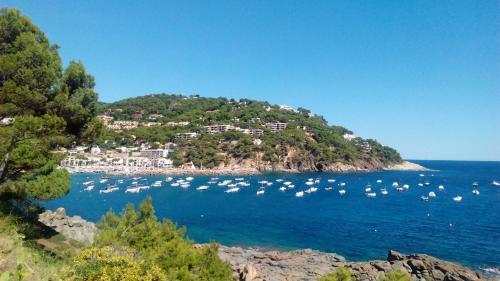 Llafranc Apartment Sleeps 6