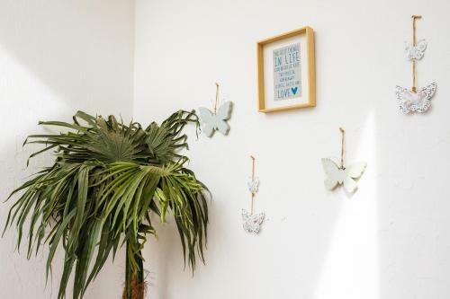 Loule Coreto Hostel