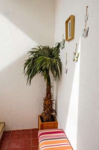 Loule Coreto Hostel
