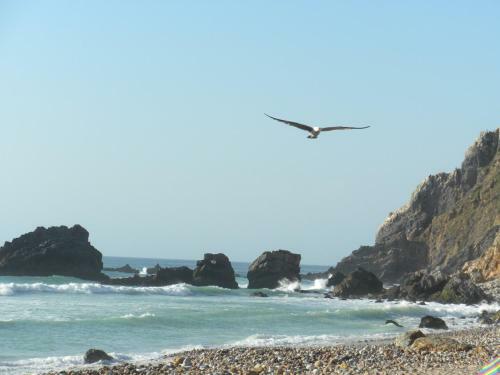 Bed & Breakfast Casalinho De Santo Ant�nio