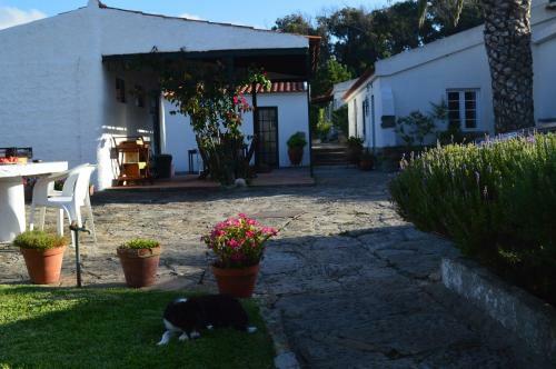 Bed & Breakfast Casalinho De Santo Ant�nio