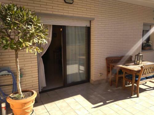 Apartamento Con Terraza - Mimosa