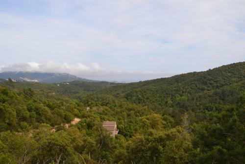 Club Villamar - Tropics