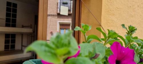 Albergue Casa de La Abuela