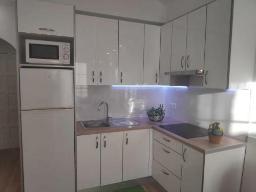 Cozy & Beautiful 1-bed Apartment