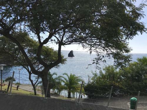 Apartamentos Do Mar Funchal