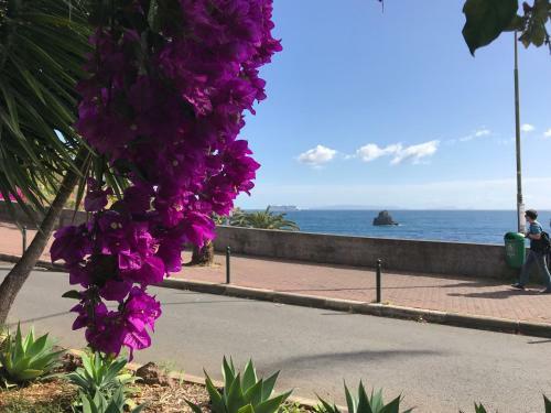 Apartamentos Do Mar Funchal
