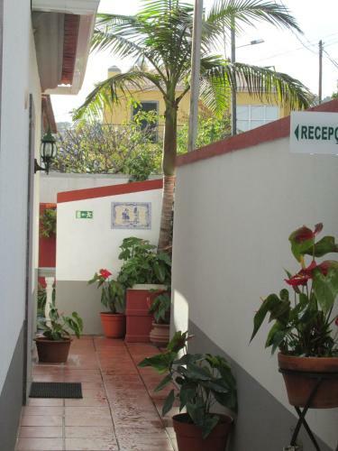 Apartment Vista Oceano