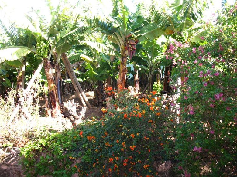 Hostal Quinta Sao Goncalo