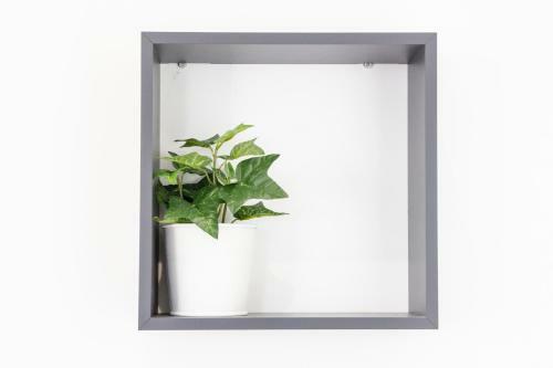 Apartamento Jose Ortega Y Gasset 48