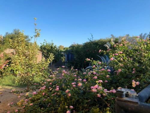 Villa With 3 Bedrooms In Malaga With Private Pool And Wifi