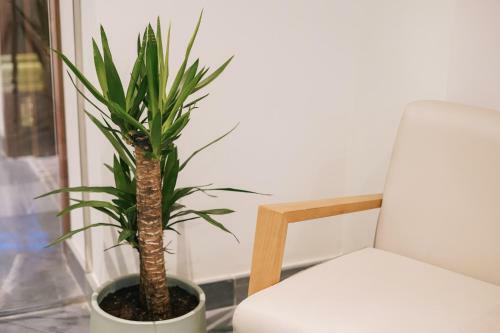 Apartamento Debamb� Atarazanas