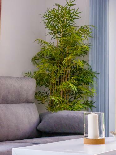 Apartamento La Alcazaba - Exclusive Penthouse