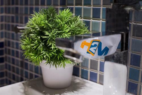 Apartamento Holidays2malaga Constitucion High Speed Wifi