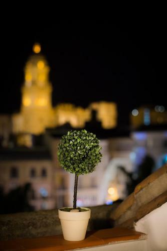 Apartamento Holidays2malaga Constitucion High Speed Wifi
