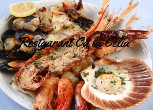Hostal Celmar Malllorca II