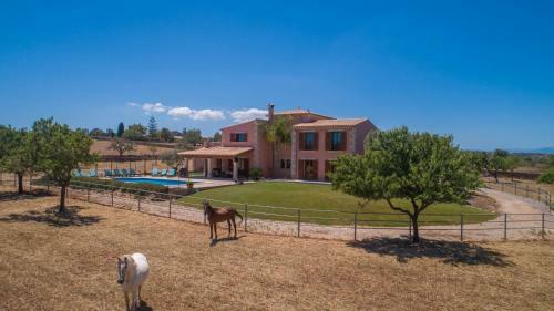 Manacor-289865