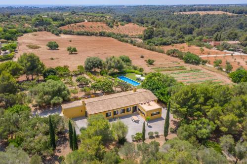 Manacor - 292479