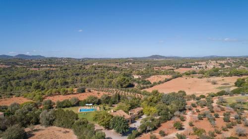 Manacor - 292490