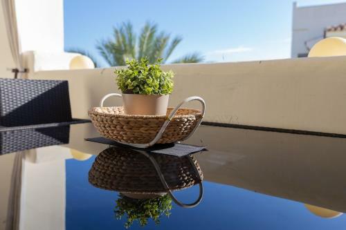 Apartamento Residencial Duquesa 18