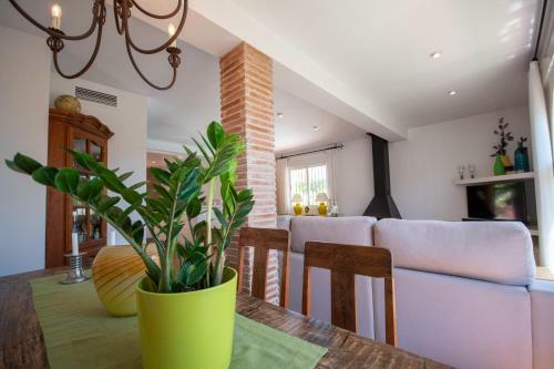 Charming Villa In Costabella At The Beach