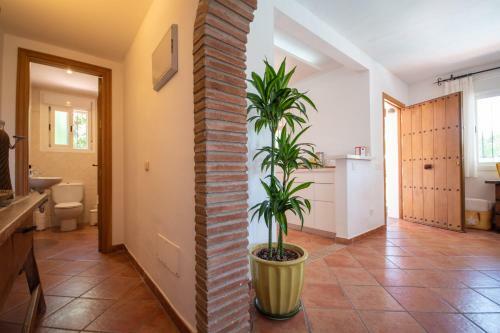 Charming Villa In Costabella At The Beach