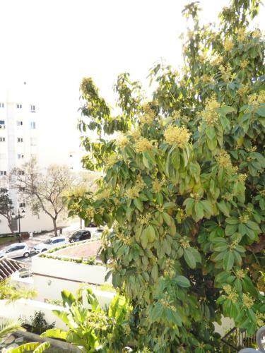 Villa Blanca - Eaw Homes