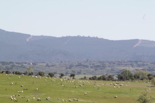 Agroturismo Casa Da Urra
