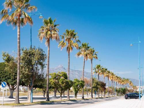 37 - Beach Front Apartment With Pool Views In Las Adeflas