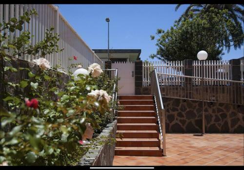 Apartamentos Oasis Sol