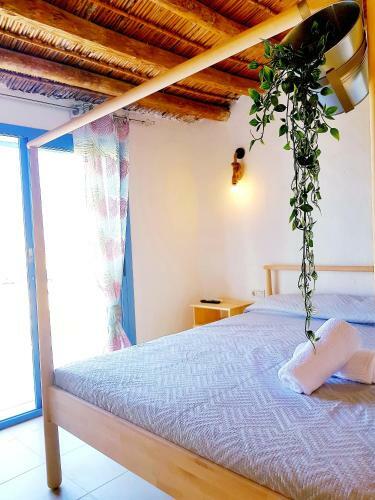 Agroturismo B&B La Nava Suites