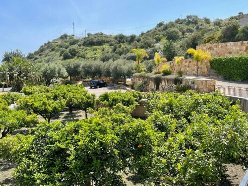Apartamentos Huerta De La Ca�ada