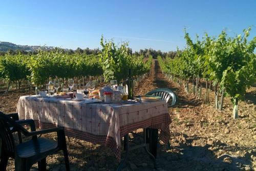 Villa With 8 Bedrooms In Montilla With Private Pool And Wifi