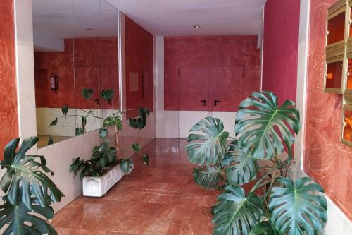 Apartamento Centrico En Monforte de Lemos - No Wifi - Parking Privado