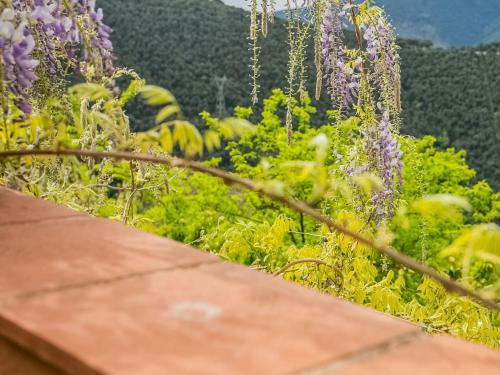 Alluring Apartment In Malmedy National Park, Montseny