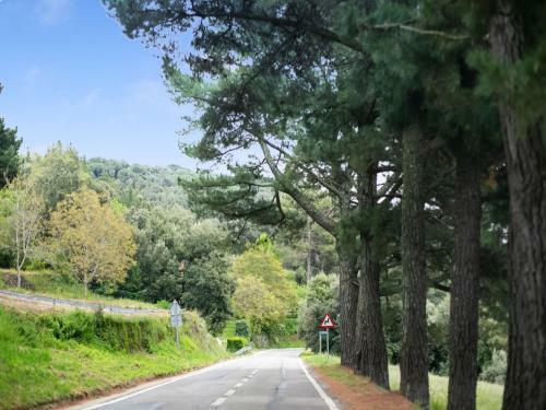 Alluring Apartment In Malmedy National Park, Montseny