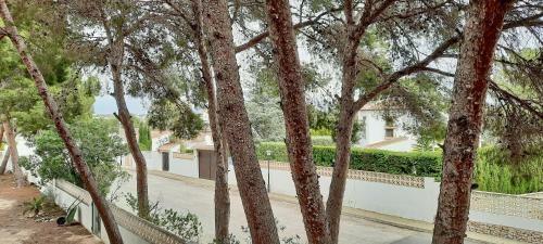 El Pinar