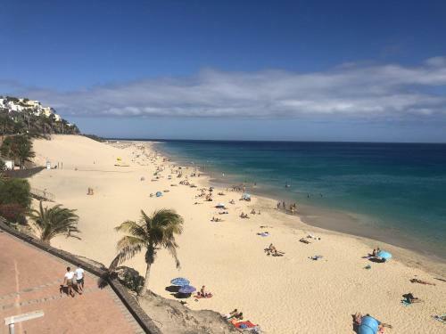 Apartamento Palm Garden Jand�a By Canariasgetaway