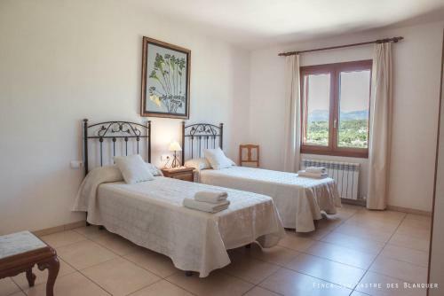 Villa Can Sastre With Pool In Mallorca