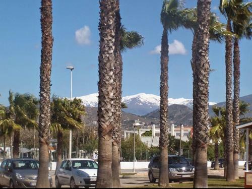 Apartamento Playa Granada Vacaciones Con Playa Piscina Y Camping