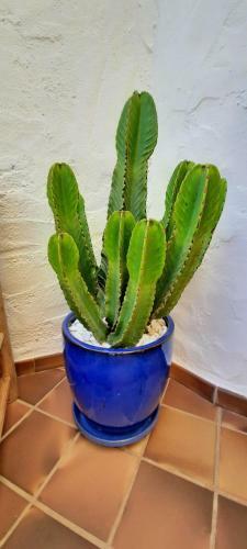 El Sarchal Moraira