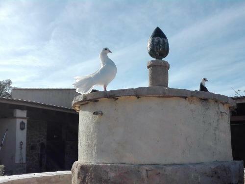 Agroturismo Finca La Constancia