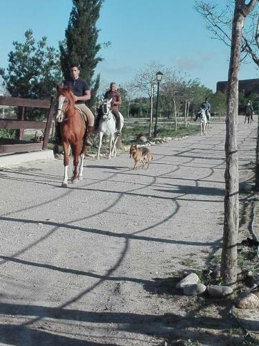 Agroturismo Finca La Constancia