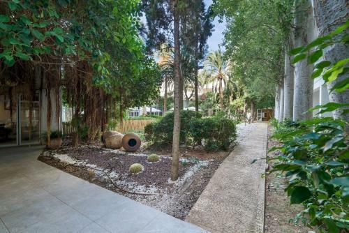 Apartments & Studios With Shared Pool, Near The Beach