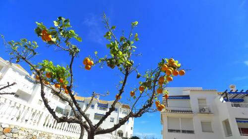 Apartamentos R1320 - Las Fuentes