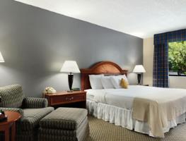 Hotel Holiday Inn Corning - Painted Post
