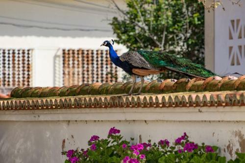 Agroturismo Quinta Da Foz